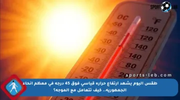 طقس اليوم يشهد ارتفاع حرارة قياسي فوق 45 درجة في معظم أنحاء الجمهورية.. كيف تتعامل مع الموجة؟